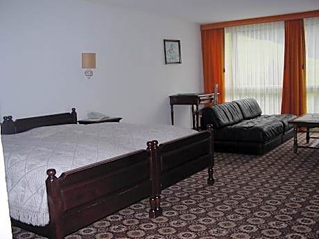 Double Room with Mountain View
