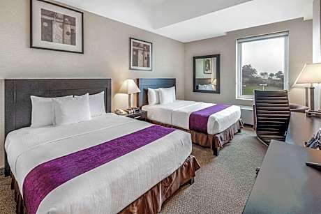 2 Queen Beds Executive Room