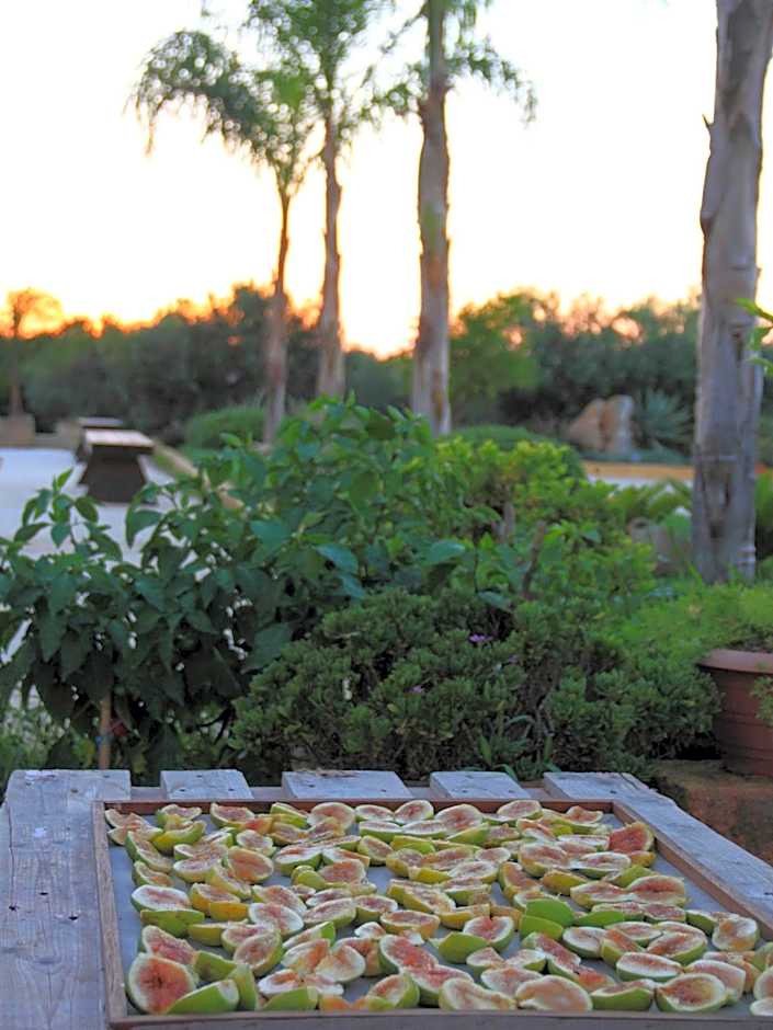 I Giardini di Elencosta