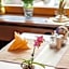 Auerhahn Bed and Breakfast - Black Forest - Waldhotel