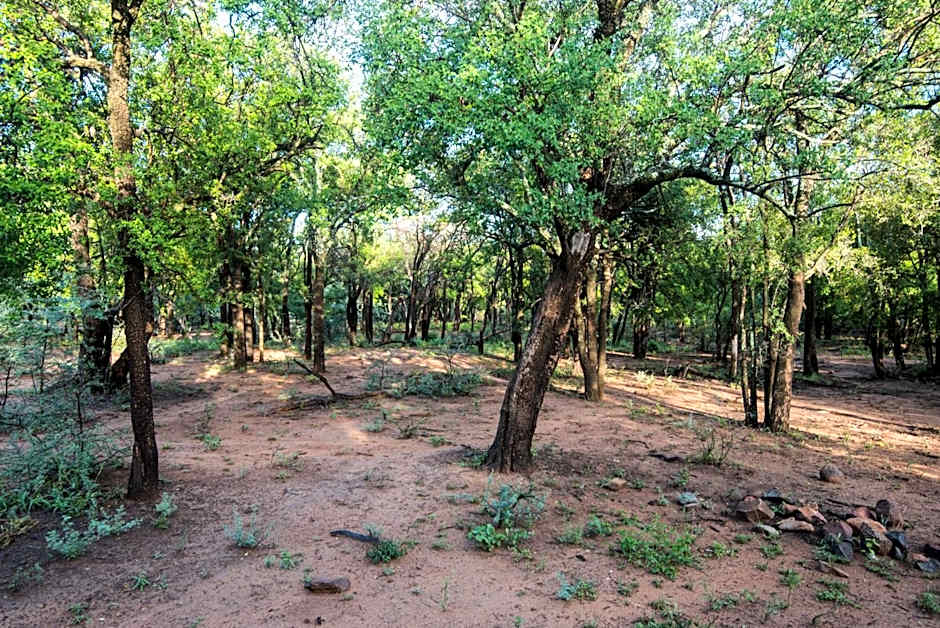 Lush Private Game Lodge