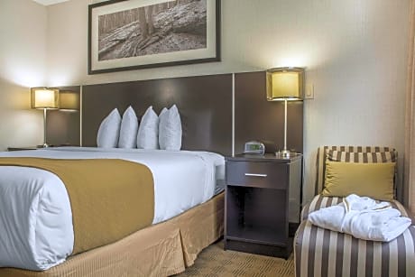 1 King Bed, Nonsmoking