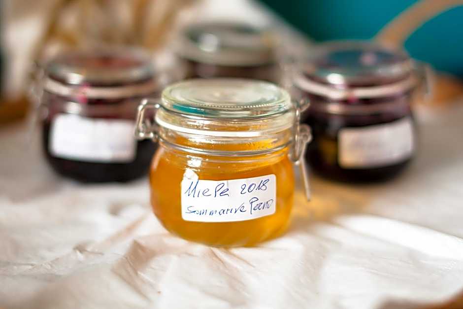 AMERICA NEI BOSCHI B&B