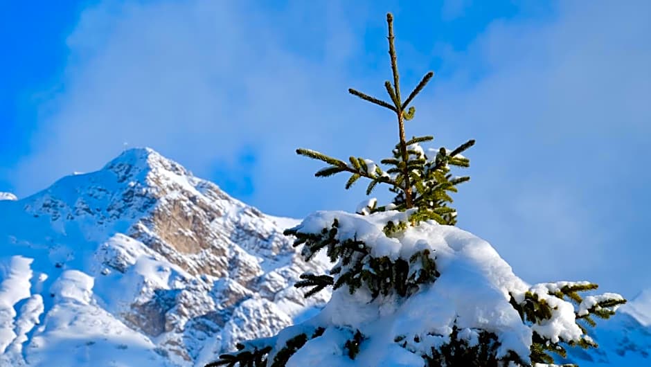 Hostel Weisses Rössl