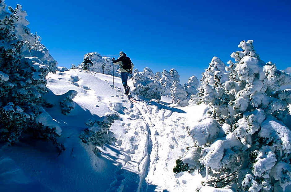 VVF Les Monts Jura
