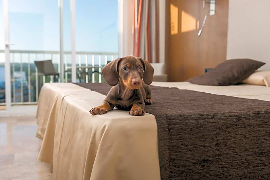 Hotel Torre Azul & Spa - Adults Only