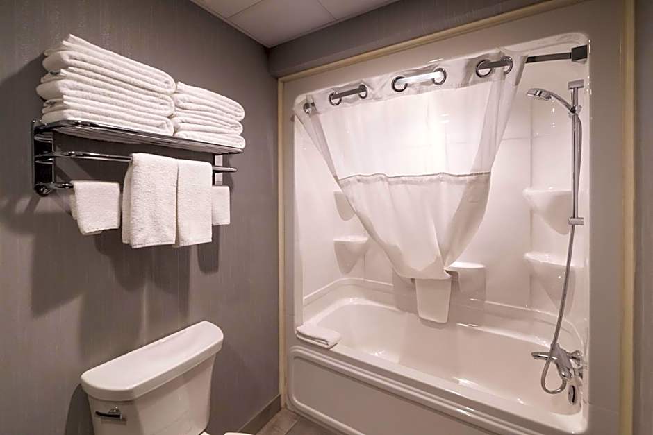 Hôtel & Suites Le Dauphin Québec