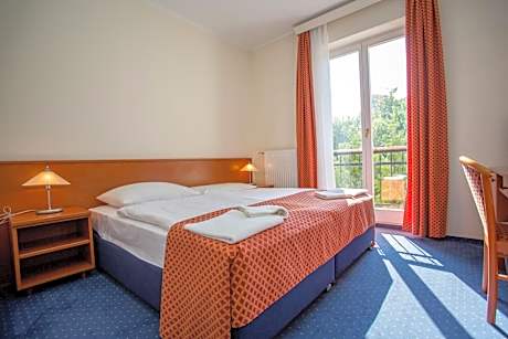 Double or Twin Room with Air-Conditioning