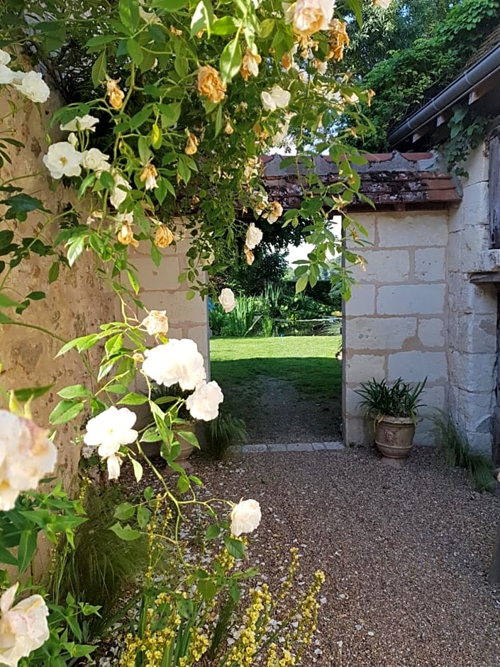 Le Clos Falaw – Azay-sur-Cher, TN