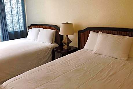 Standard Double Studio with Two Double Beds