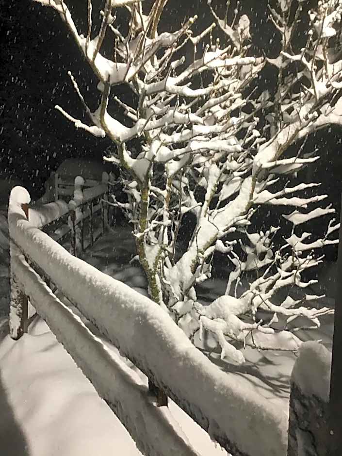 HÔTEL RESTAURANT LA FOURMI