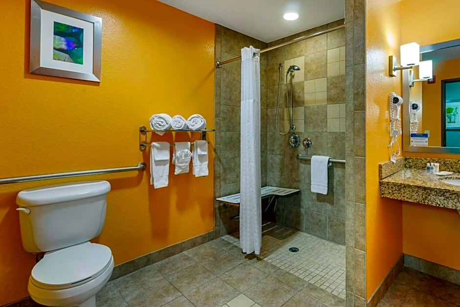 Comfort Suites Tampa Fairgrounds - Casino