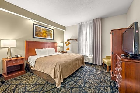 1 King Bed, Nonsmoking