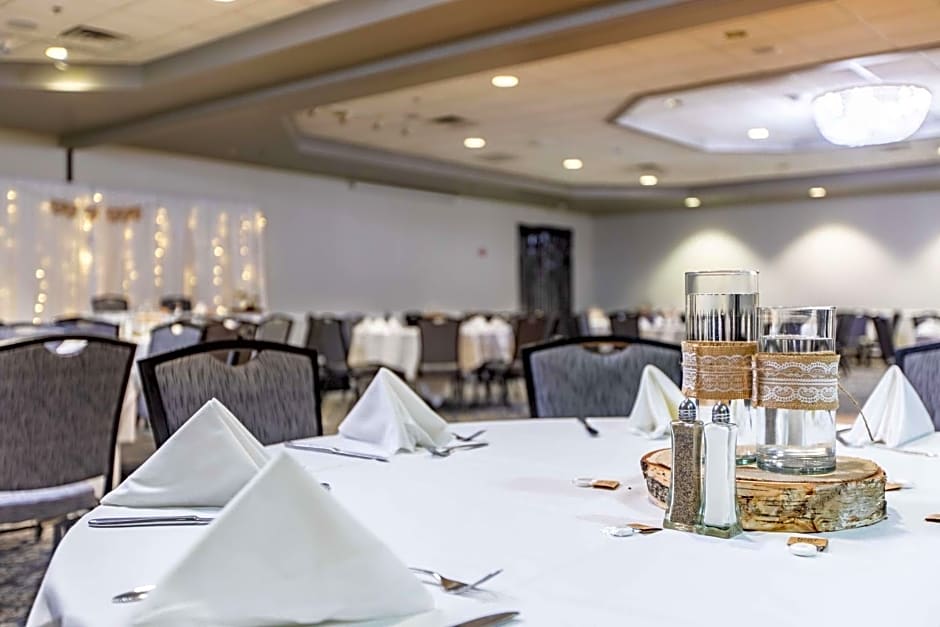 Best Western Rochester Mayo Clinic Area/Saint Mary's