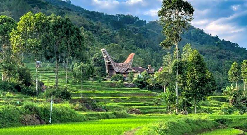 Santai Toraja