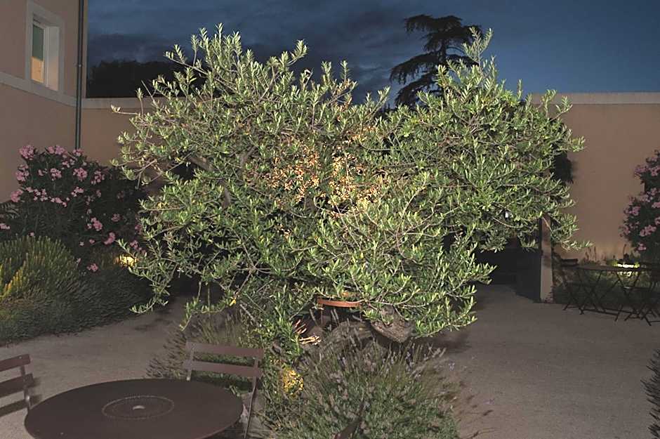 Suite Home Apt Luberon