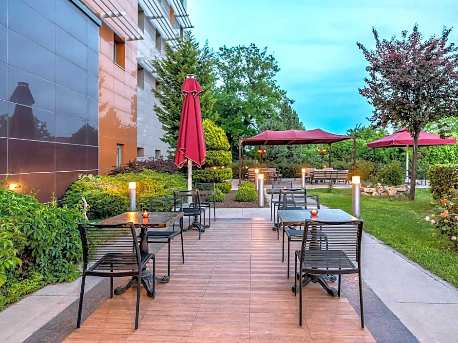 Ibis Bursa