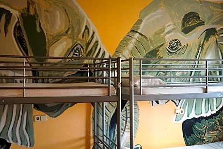 Bunk Bed in Mixed Dormitory Room