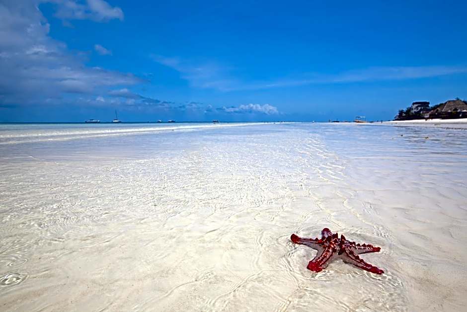 The Zanzibari