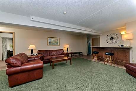 One-Bedroom King Suite