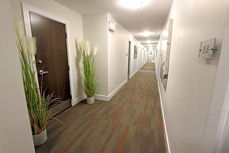 Stardust Motel - Bedford