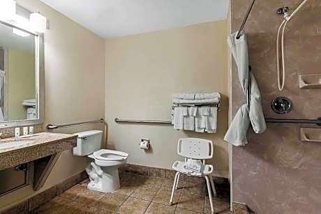 King Room - Disability Access/Non-Smoking