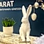 Carat Hotel Grömitz