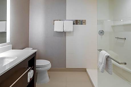 Large King Studio with Sofa Bed - Hearing Accessible