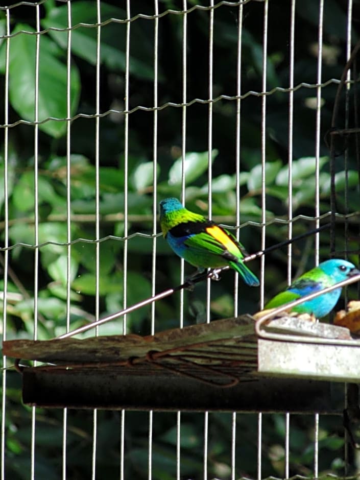 Casa D`Irene - Refúgio na Mata Atlântica