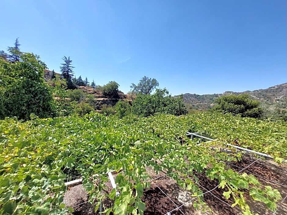 Agros Green Valley Suites