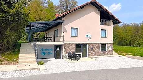 Rooms and apartments Biš