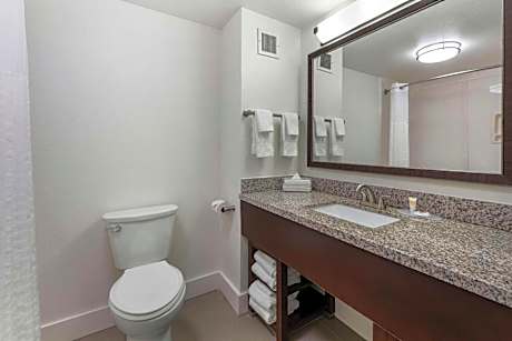 King Suite with Sofa-Bed - Non-Smoking