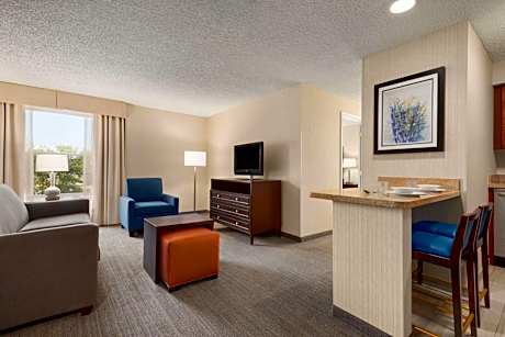 1 King Bed 1 Bedroom Suite