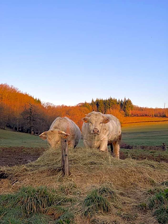 Silent Valley Bed & Breakfast