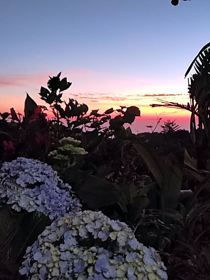 KOPIKUIN bromo homestay