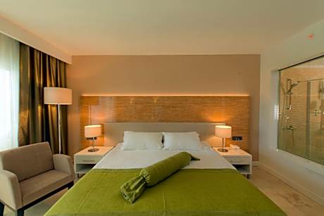 Double or Twin Room with Pool View