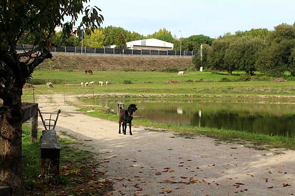 Quinta Do Crestelo Aparthotel