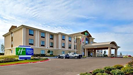 Holiday Inn Express and Suites Schulenburg By IHG