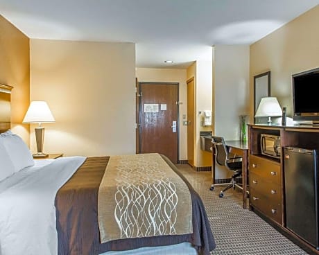 1 King Bed, Suite, Nonsmoking