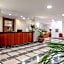 Hotel Orquidea