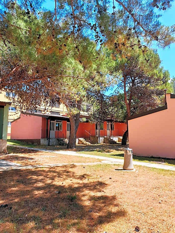 Family Bungalow Pineta