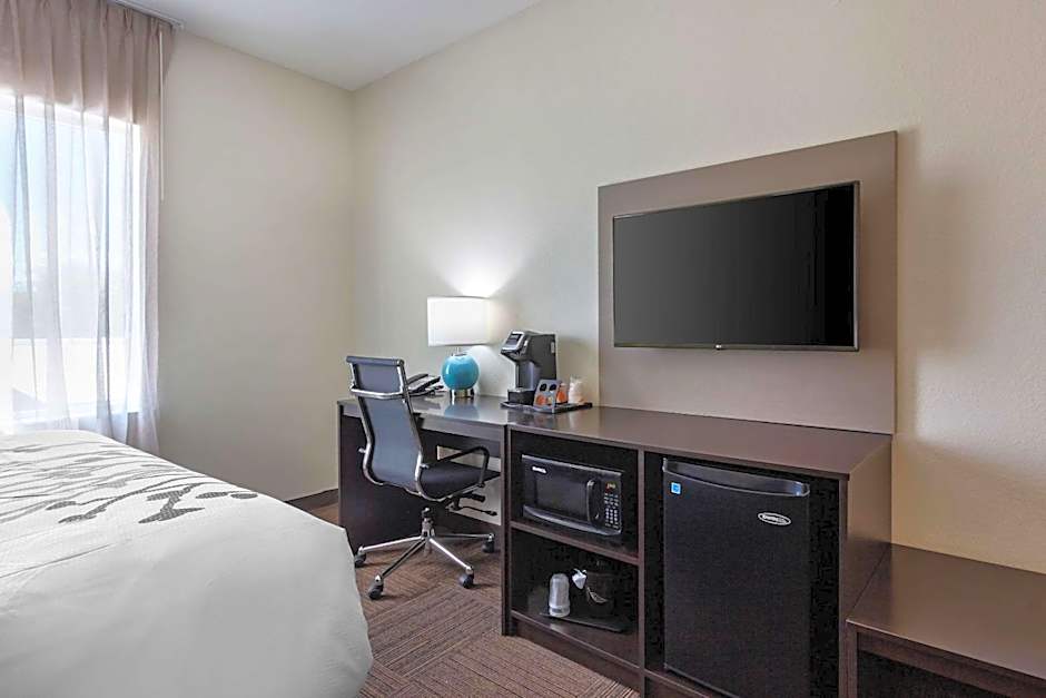 Sleep Inn & Suites Tampa South
