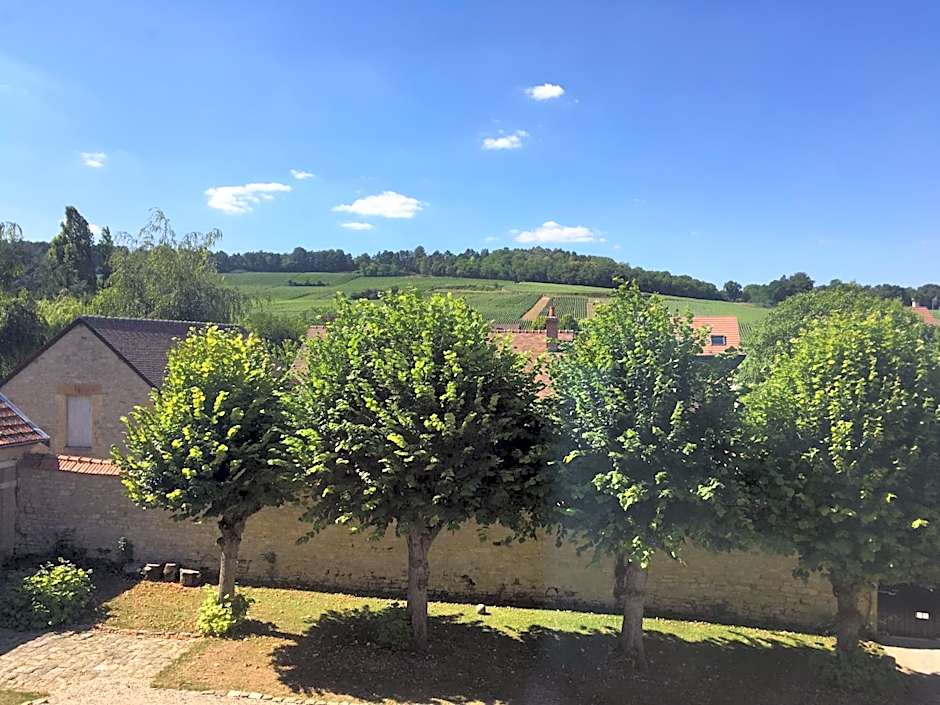 Le Château d'Hermonville B&B / Chambres d'hôtes