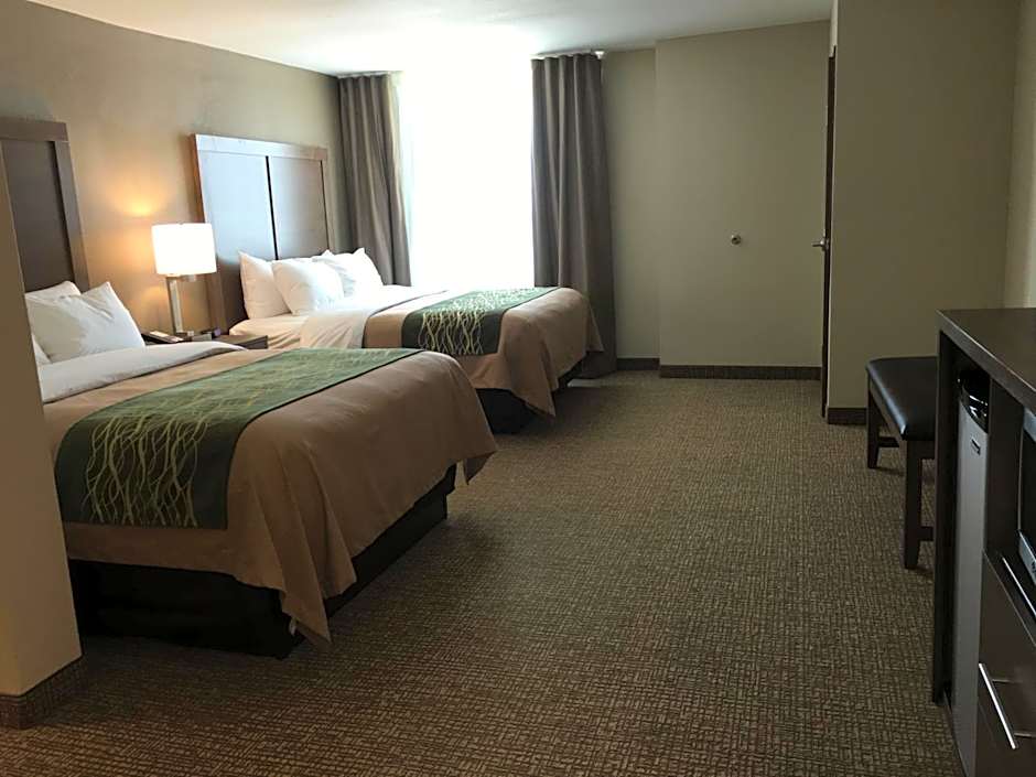 Comfort Inn & Suites Snyder