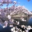 Apa Hotel Hikone Minami