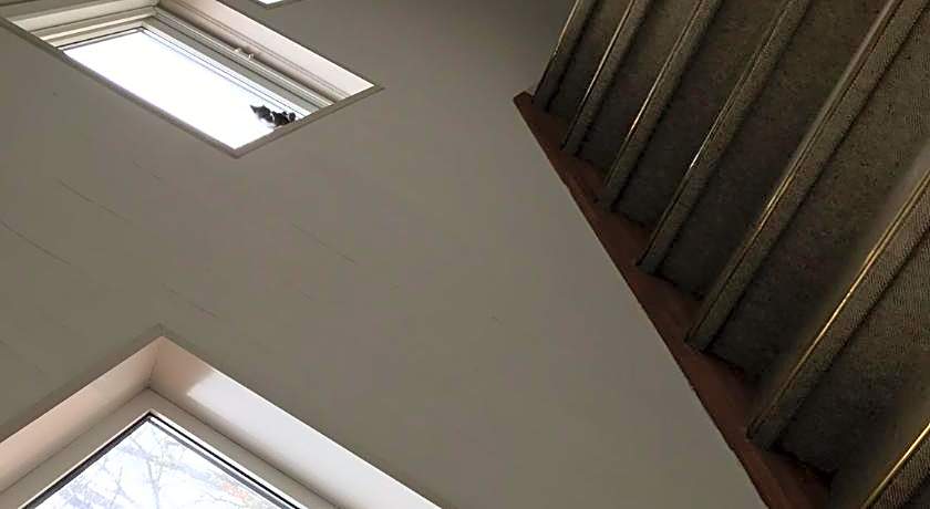 Petit Hotel Kurumi and Milk