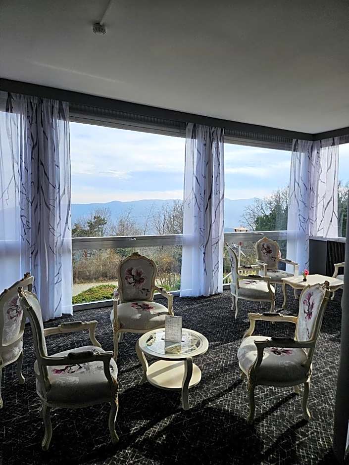 Alexain Hotel Restaurant & Wellness - Colmar Ouest