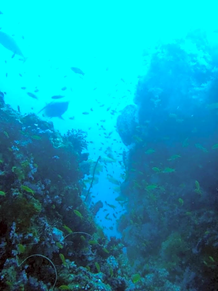 Kawans Inn Lembongan