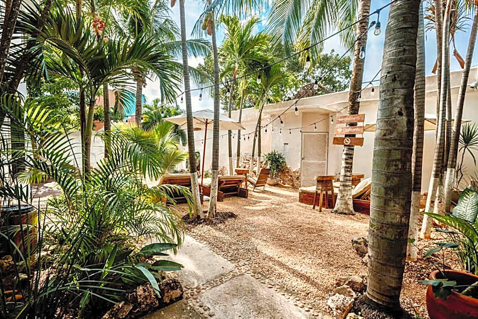 Mezcal Hostel
