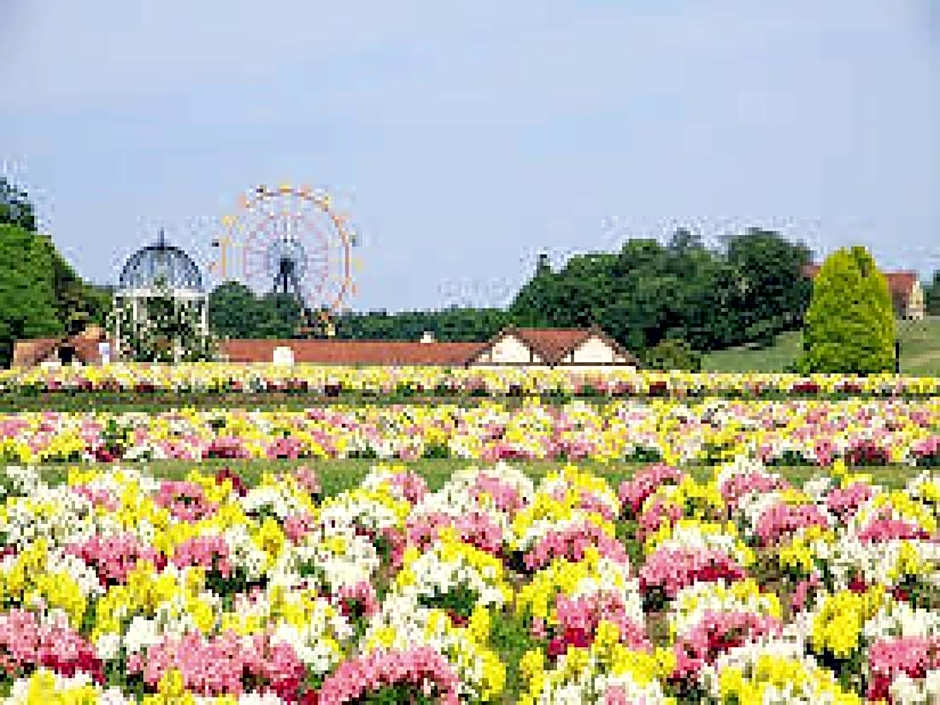 Hotel Royal Garden Kisarazu / Vacation STAY 72203
